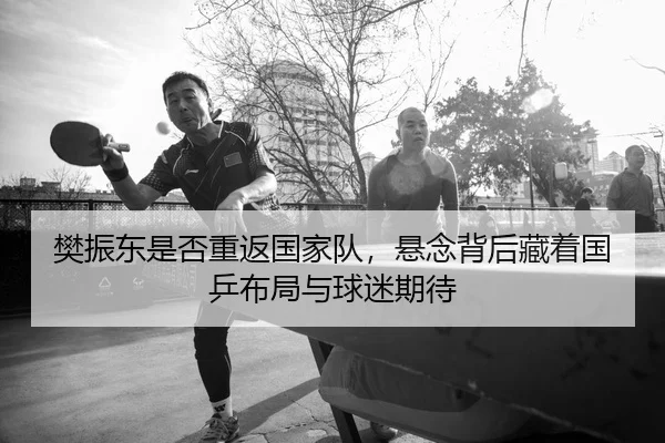 樊振东是否重返国家队，悬念背后藏着国乒布局与球迷期待 | bet365